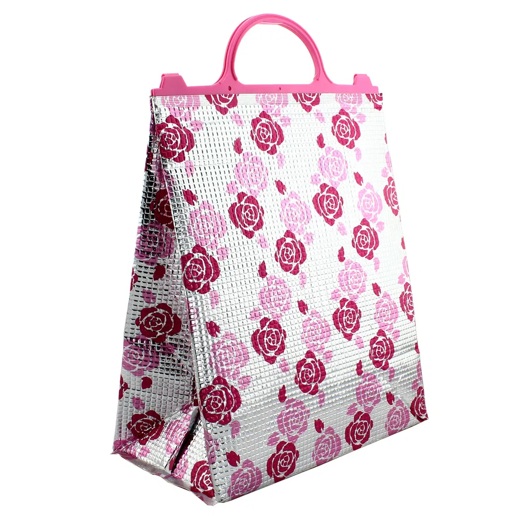 Bolsa Térmica Aislada Caliente Fría 6 - 24 para Botella Impresa de Entrega de Comida Almuerzo Picnic