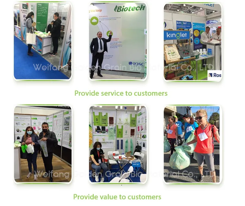 Bolsas de envío personalizadas al por mayor, compostables, expresas, ecológicas, para ropa