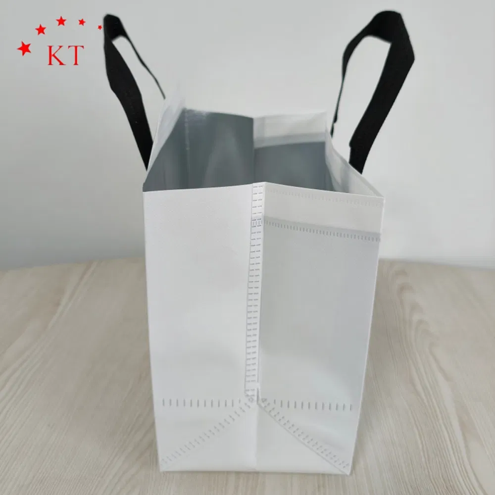 Bolsa térmica personalizada con logo impreso, bolsa de enfriamiento de no tejido, bolsa aislante para llevar, bolsa de entrega de alimentos para mantener caliente