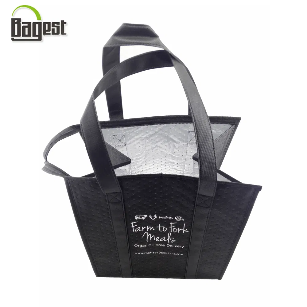 Bolsa Térmica Aislada Caliente Fría 6 - 24 para Botella Impresa de Entrega de Comida Almuerzo Picnic