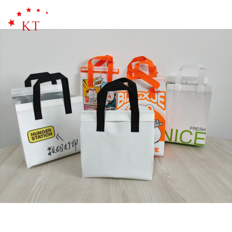 Bolsa térmica desechable con logo personalizado, impermeable, de aluminio, bolsa de no tejido, bolsa térmica aislante