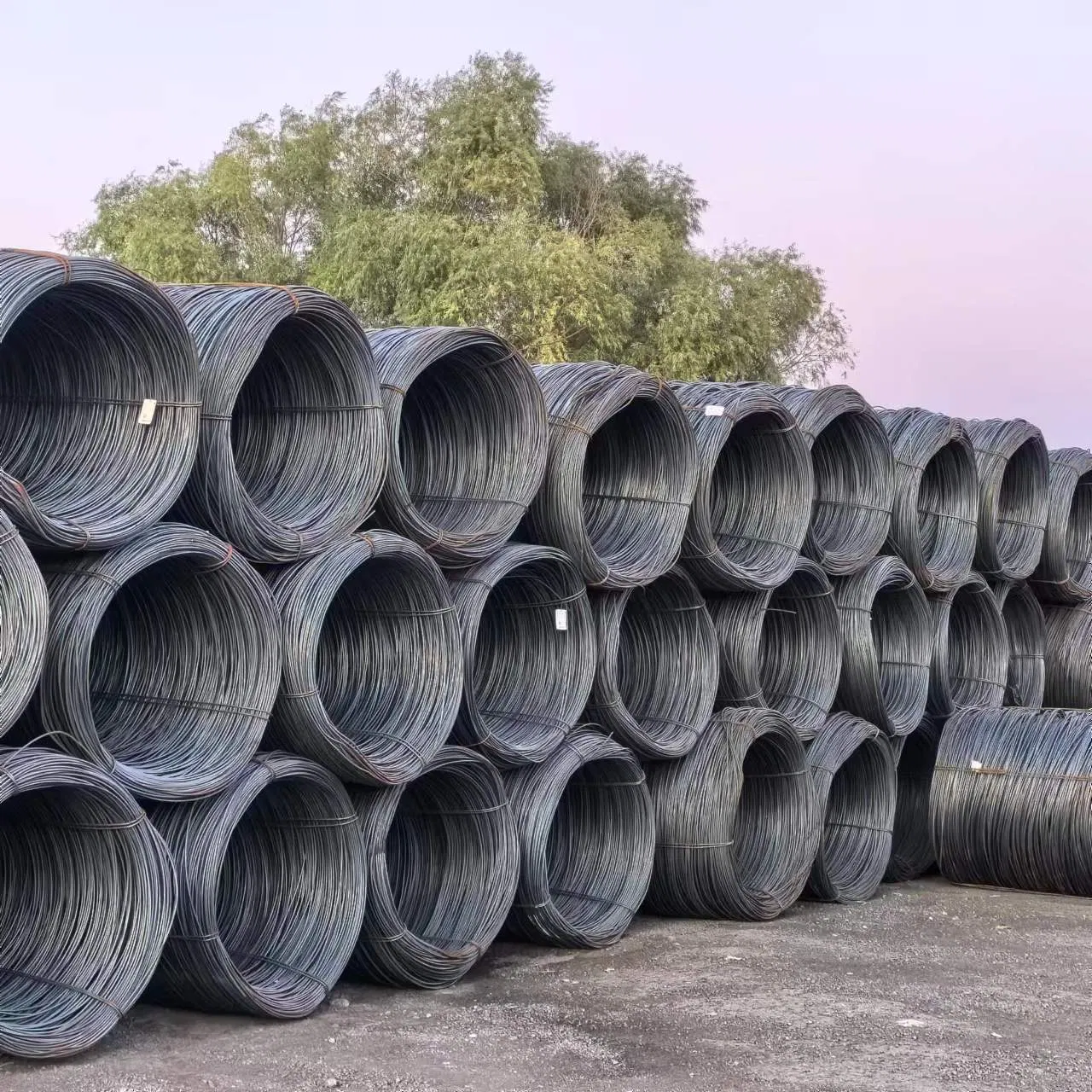 Hot Rolled Steel Wire Rod SAE1006 SAE1008 Swrch10A Swrs82A Jls G 3506 High Carbon Steel Wire Rods