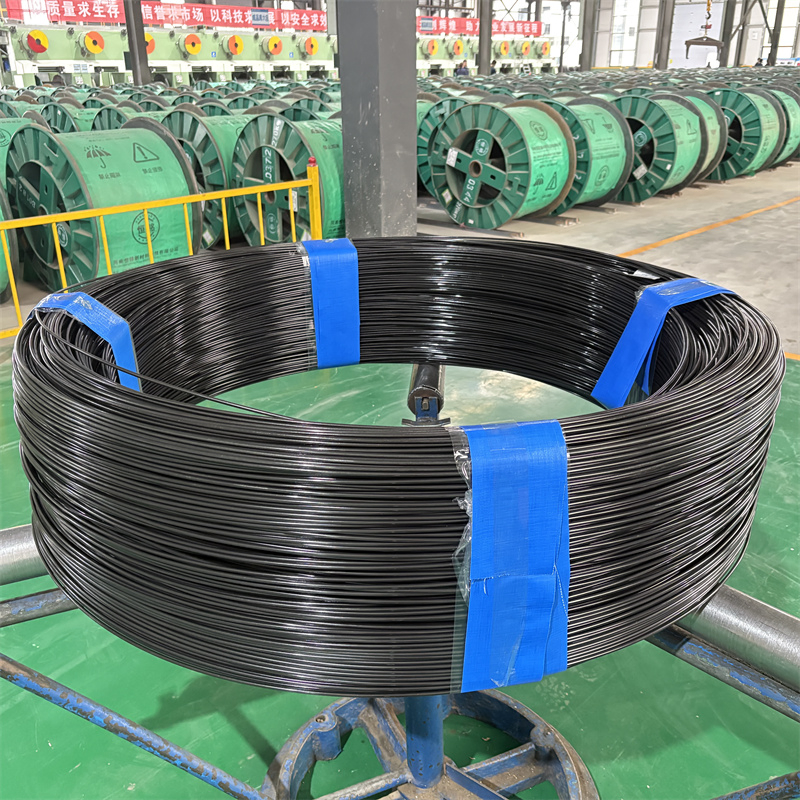 Ot Spring Steel Wire 55crsi, ASTM A229, JIS G3560 Oil Tempered Spring Steel Wire