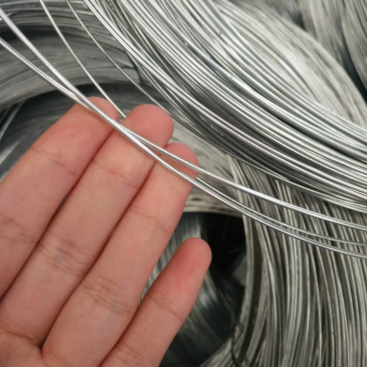 High-Quality En10270/GB/ASTM/DIN Brush Steel Wire Galvanized/Stainless Steel Wire 0.20mm 0.30mm 0.5mm