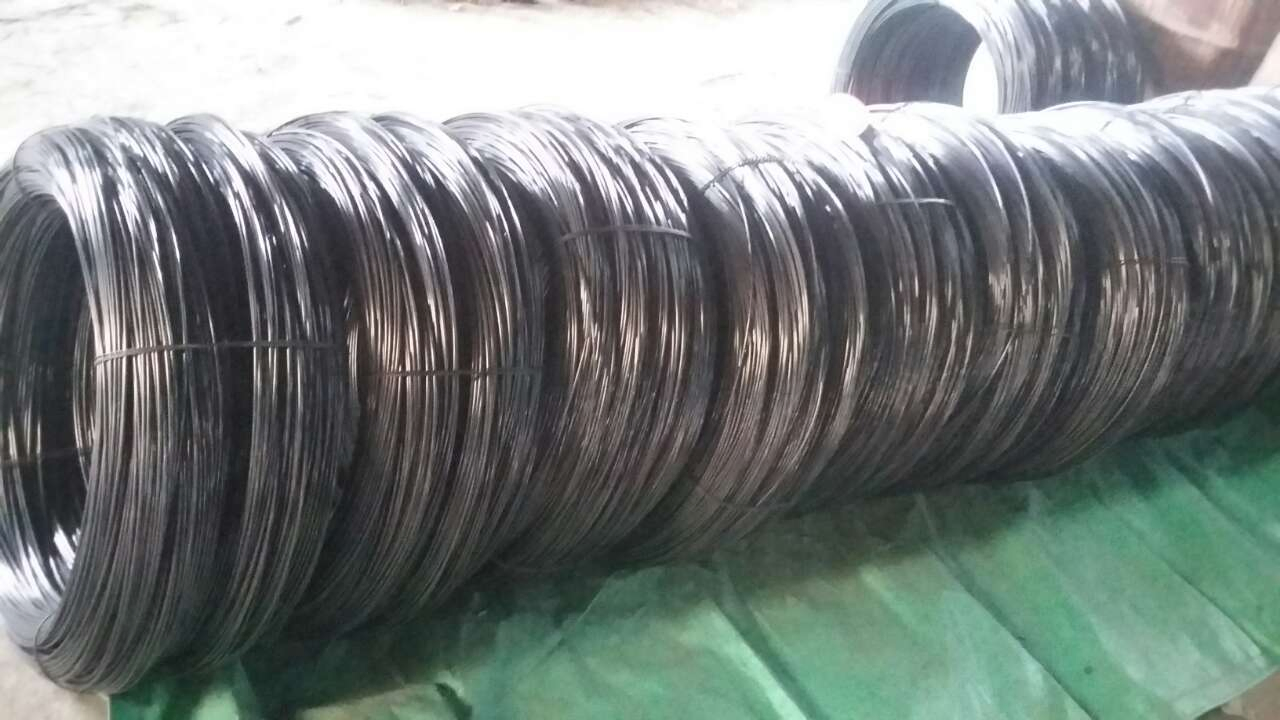 SAE 1006 Steel Wire Rod