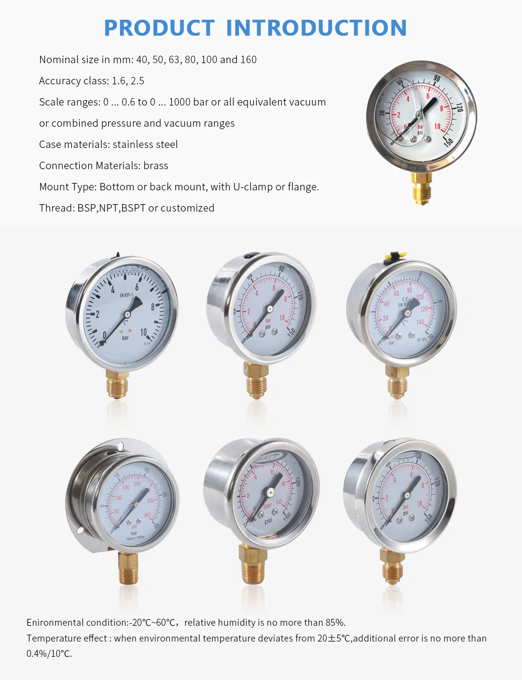 Pressure Gauge Detail 4