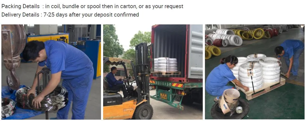 Packing and Delivery