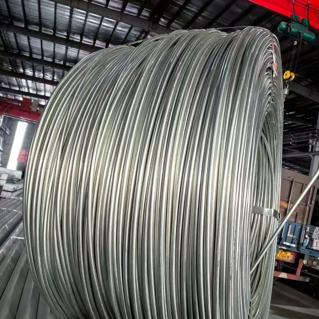 Cold Drawn Ms Carbon Q195 Q235 Galvanized SAE1006 SAE1008 Steel Wire Rod for Nail Making