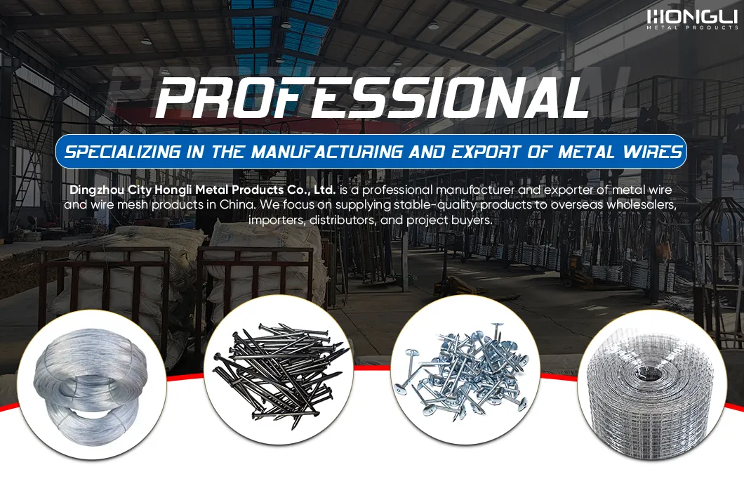 Binding Wire Galvanized Steel Wire