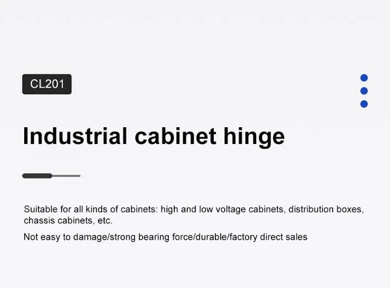 Stainless Steel Industrial Heavy-Duty Concealed Hinge