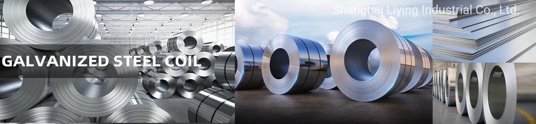 Galvanized Steel Coils