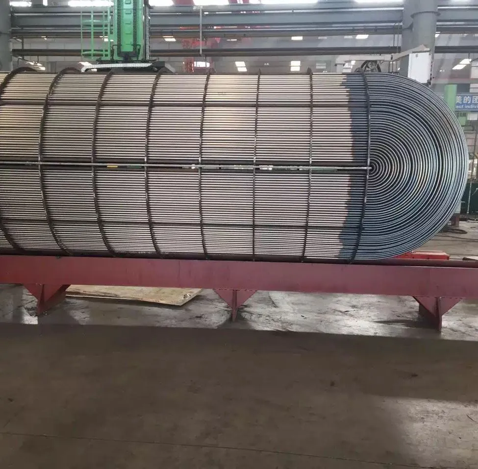 Coil Tube Inspection