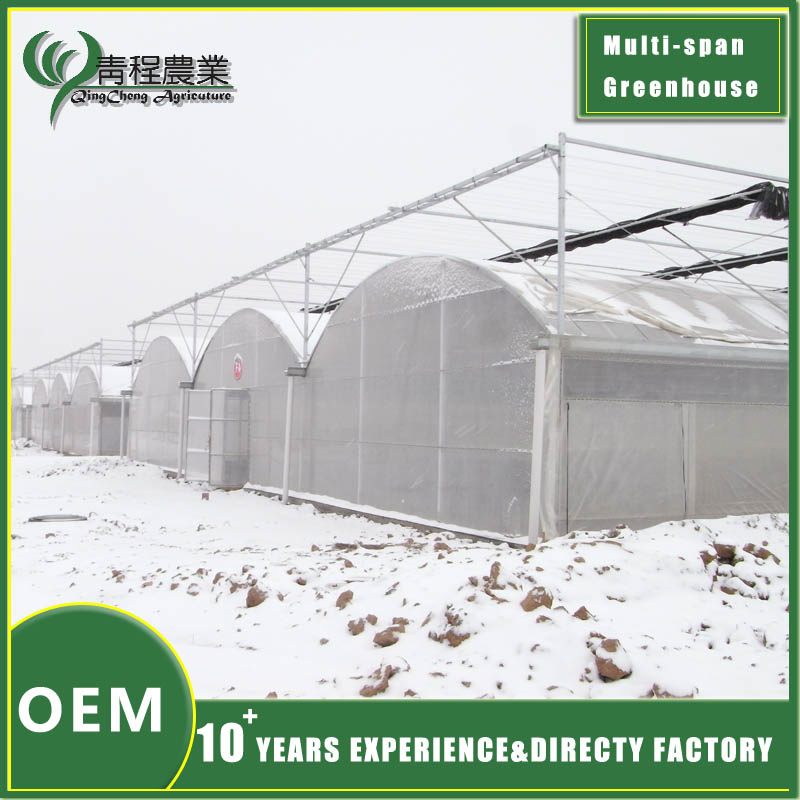 Premium Galvanized Steel Rectangular Profiles for Greenhouse Structures