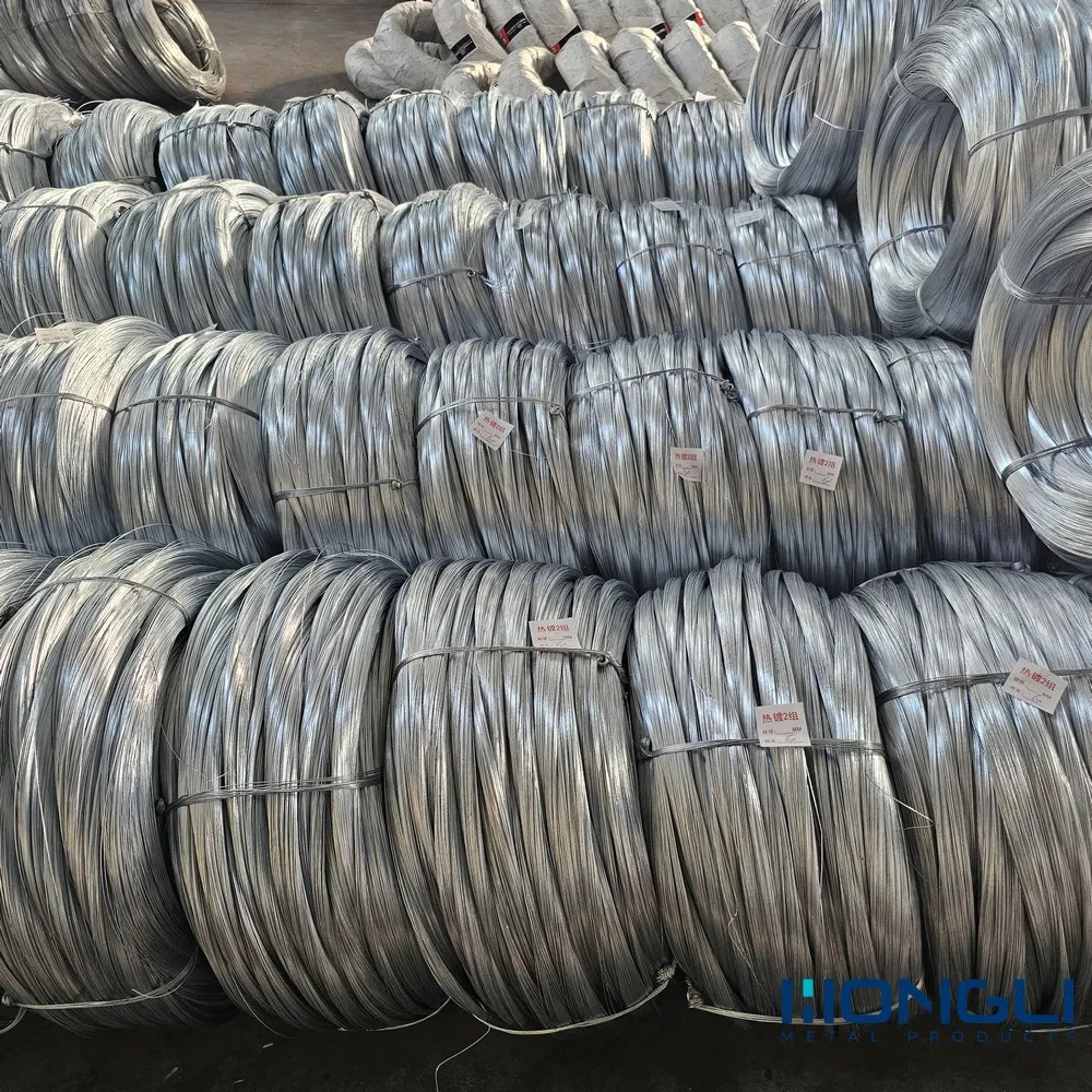 Binding Wire Galvanized Steel Wire Bwg22 21 20