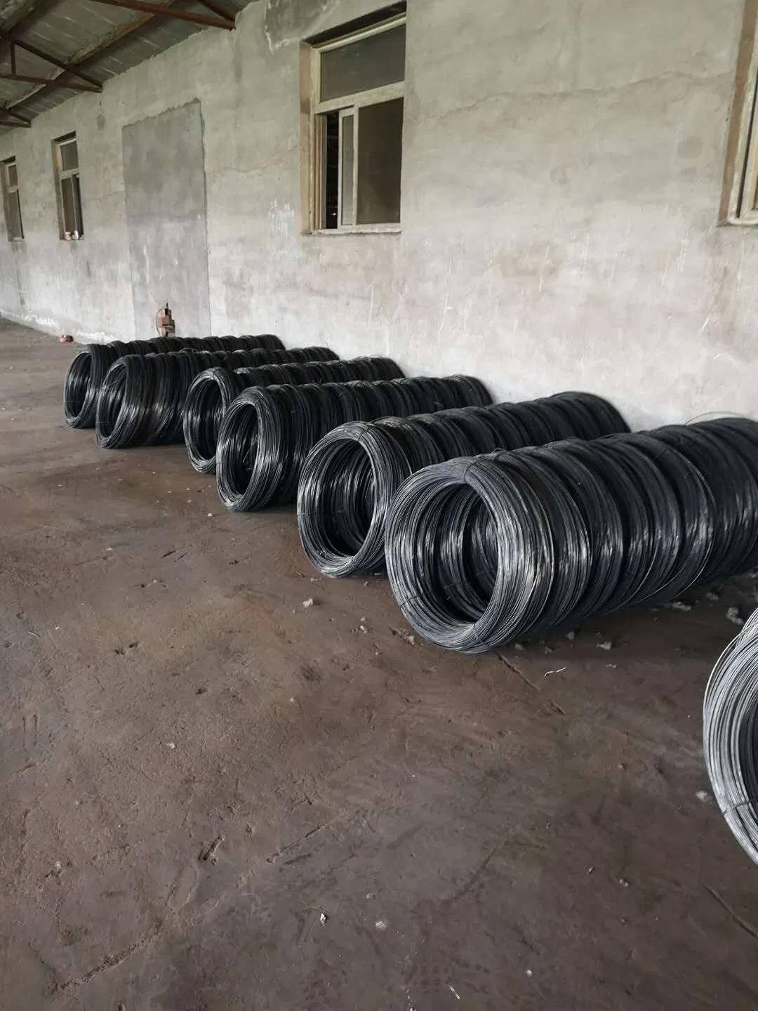 Alloy Low Carbon Steel Annealed Wire Rod in Coil