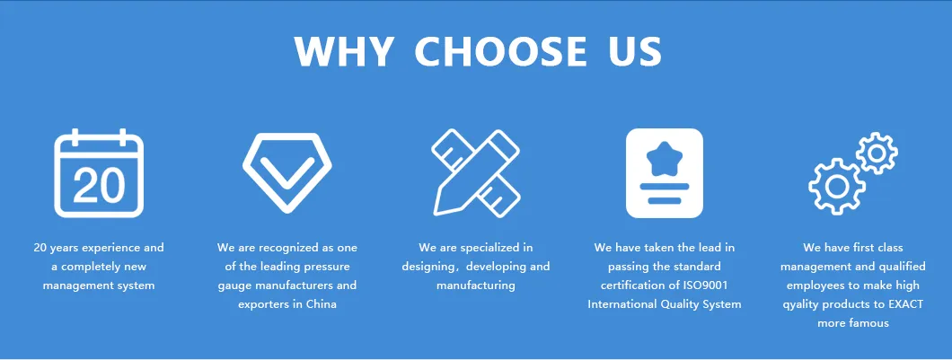 Pressure Gauge Detail 2