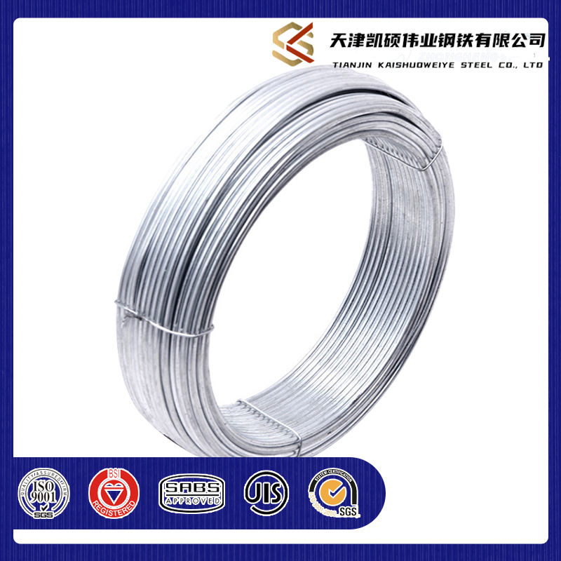 High-Quality En10270/GB/ASTM/DIN Brush Steel Wire Galvanized/Stainless Steel Wire 0.20mm 0.30mm 0.5mm