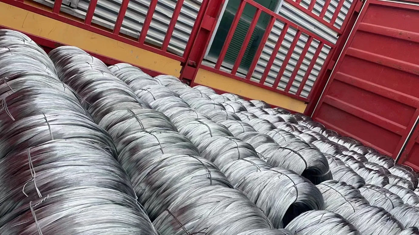 Hot Dipped/Electric Galvanized Mild Steel Binding Wire