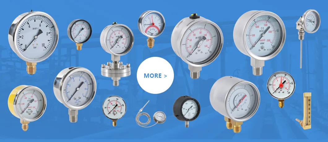 Pressure Gauge Overview