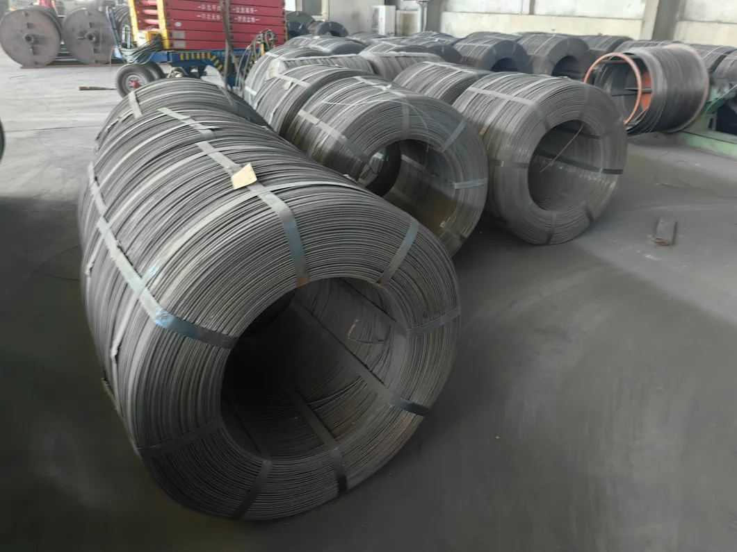 Carbon Steel Wire Display