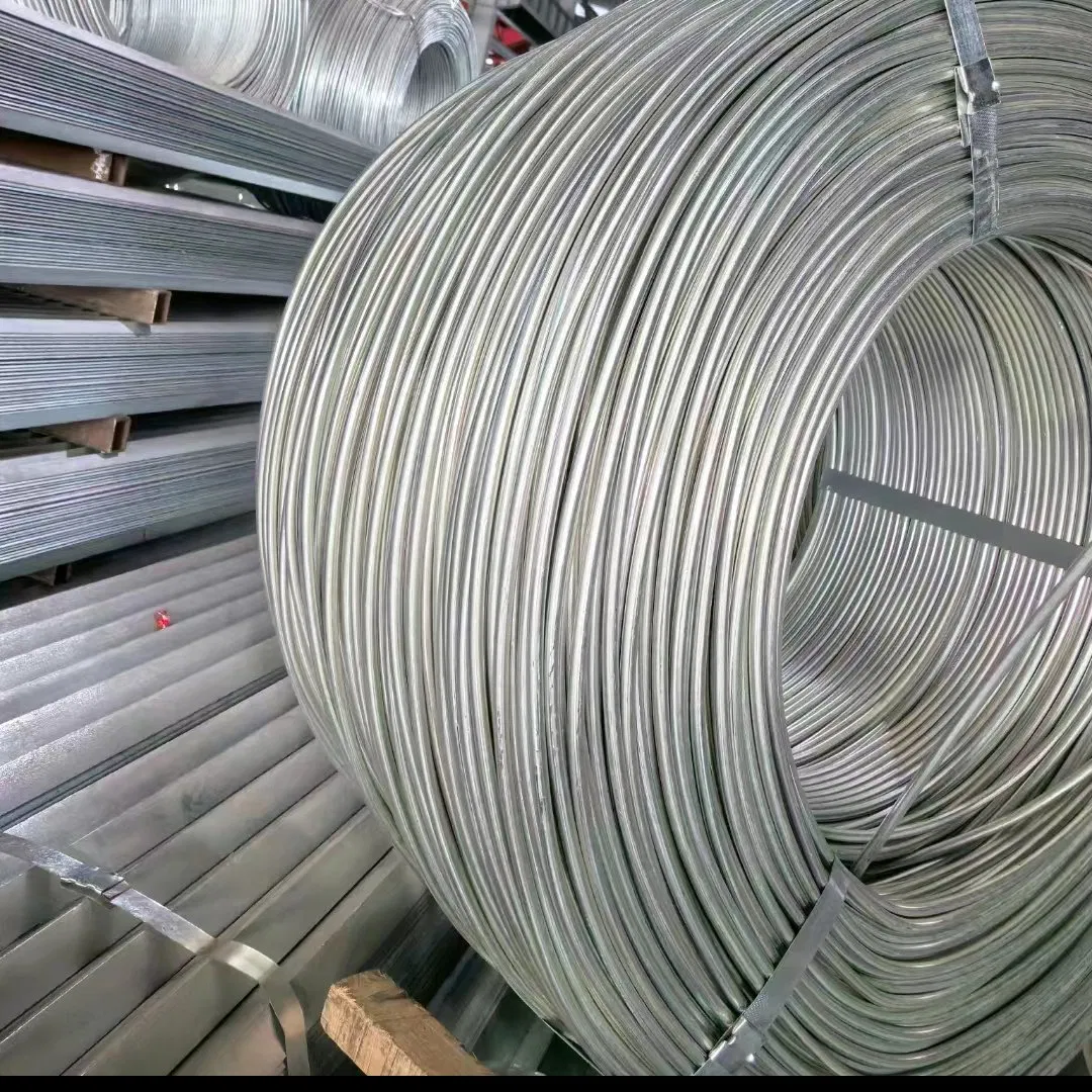 Cold Drawn Ms Carbon Q195 Q235 Galvanized SAE1006 SAE1008 Steel Wire Rod for Nail Making