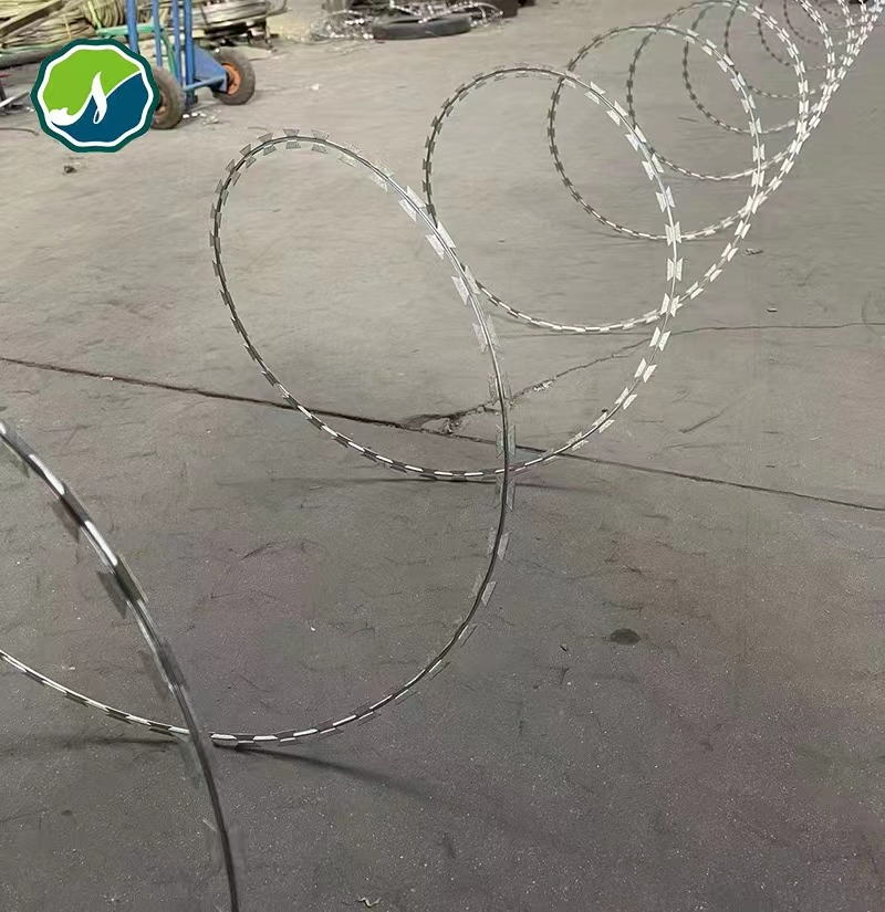 Galvanized PVC Stainless Steel Concertina Razor Barbed Wire Bto-16 18 22 60 Cbt-65 Fencing Wire Price