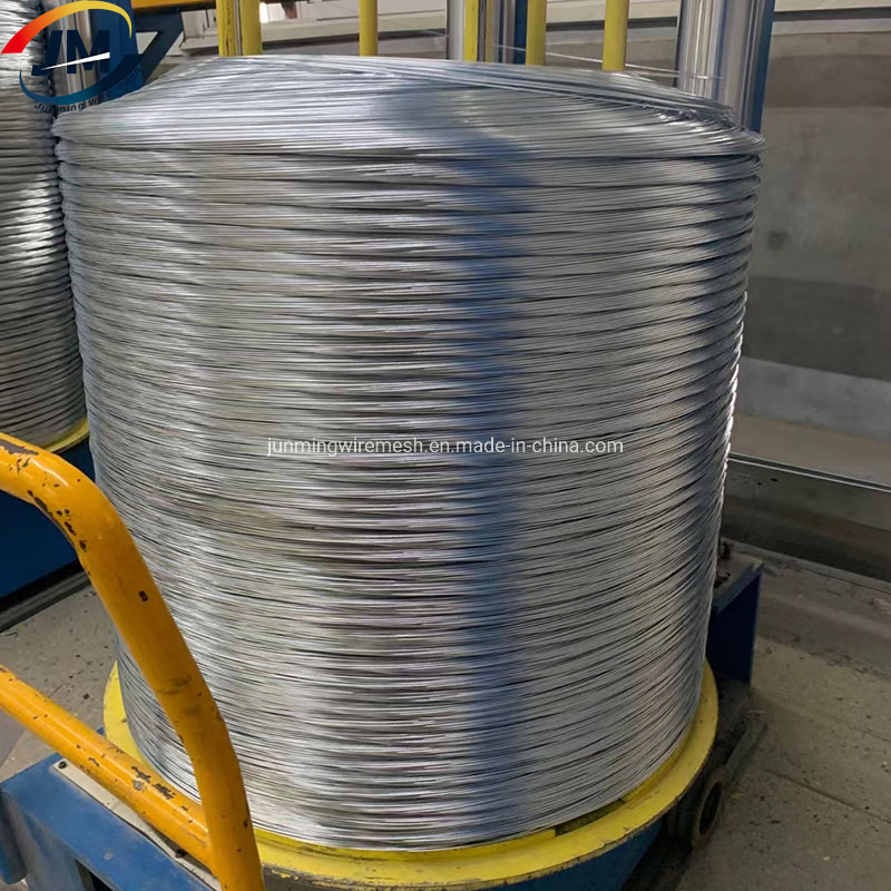 Hot Dipped/Electric Galvanized Mild Steel Binding Wire/Black Annealed Rebar Iron Tie Wire 16 Gauge Stainless Steel Spool for Construction/Building Material