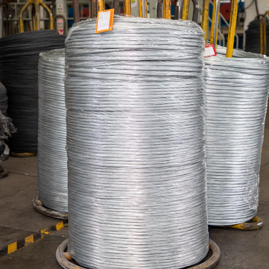 Steel Wire Coil 3
