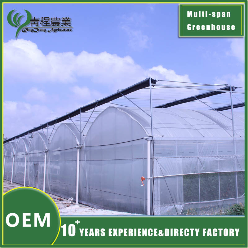Premium Galvanized Steel Rectangular Profiles for Greenhouse Structures