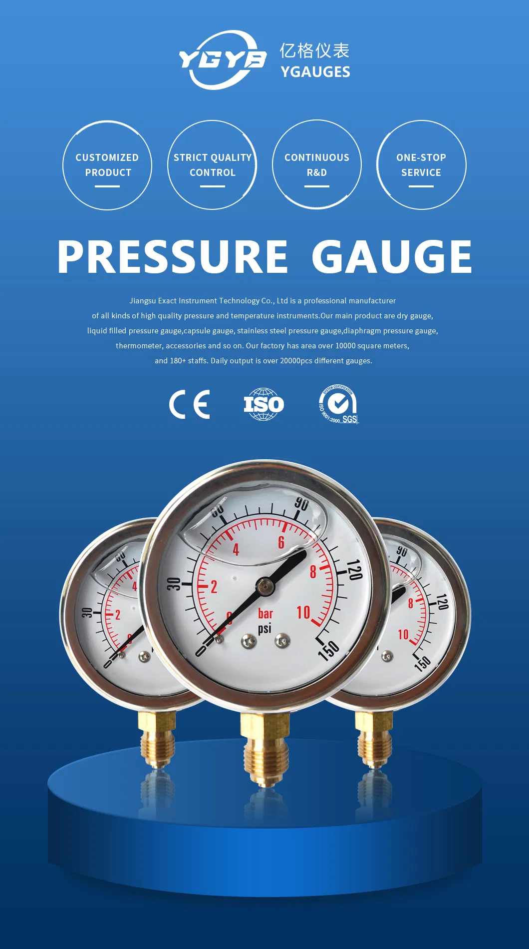 Pressure Gauge Detail 1