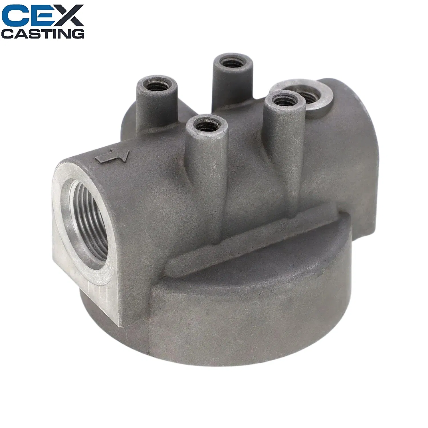 OEM Aluminum/Zinc/Copper/Bronze/Aluminium/Steel Squeeze/Die/Investment/Gravity/Sand Casting for Auto Parts/Motorcycle/Engine/Hardware/Truck/Valve/Pump/Motor