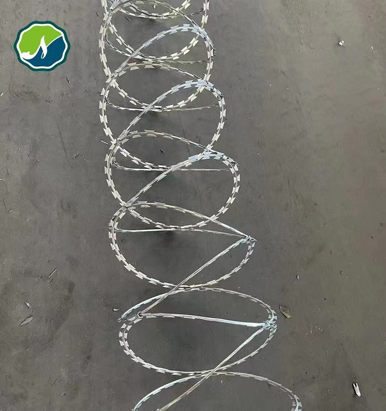 Galvanized PVC Stainless Steel Concertina Razor Barbed Wire Bto-16 18 22 60 Cbt-65 Fencing Wire Price