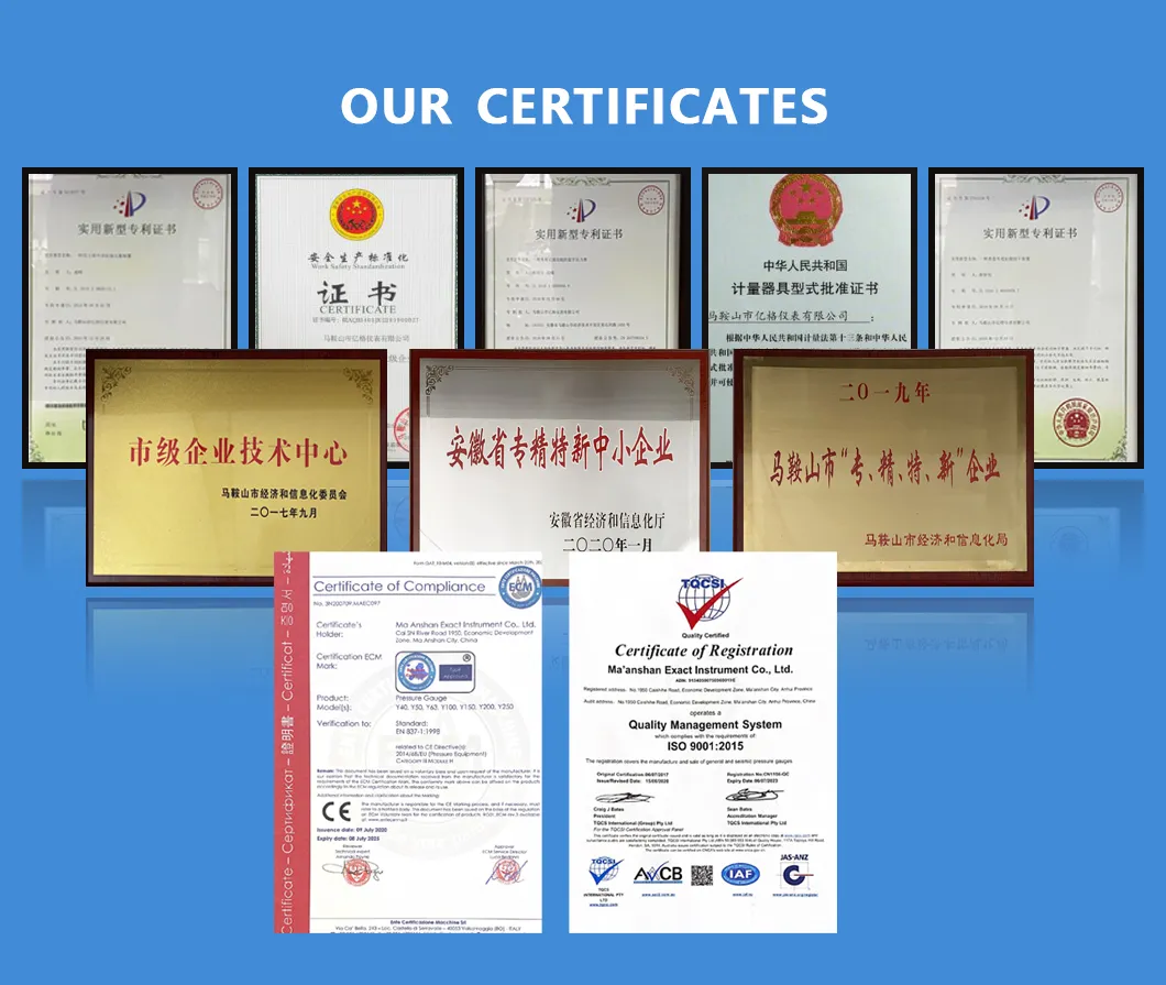 Pressure Gauge Detail 5