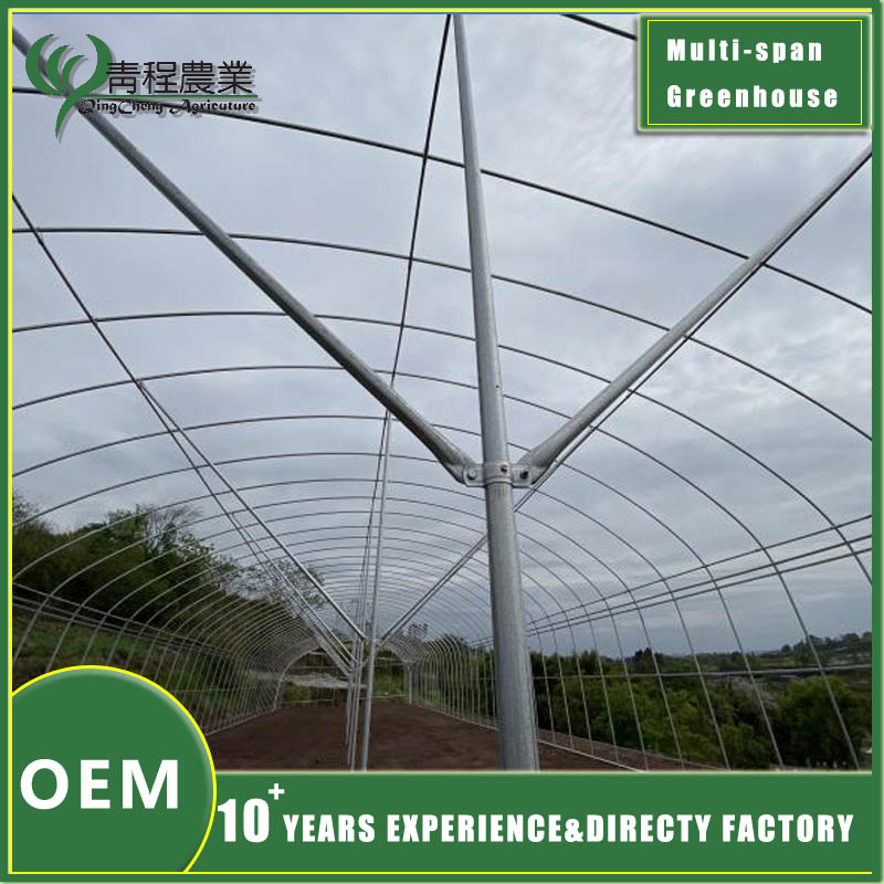 Premium Galvanized Steel Rectangular Profiles for Greenhouse Structures