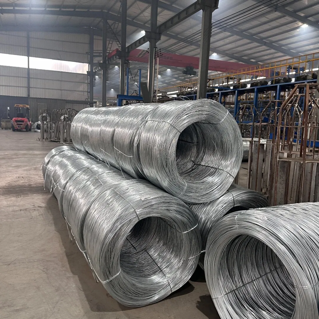 Hot Dipped/Electric Galvanized Mild Steel Binding Wire