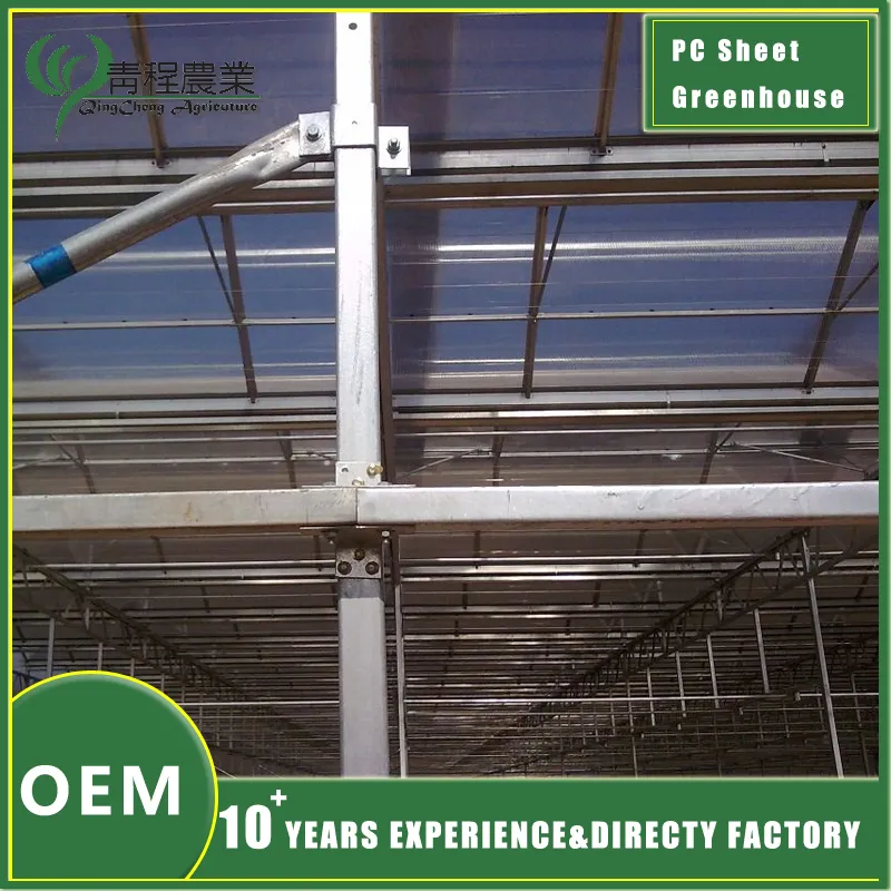 Greenhouse Structure 3