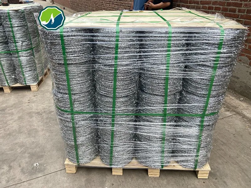 Factory Hot Dipped Galvanized PVC Stainless Steel Barbed Wire Razor Fencing Wire Price