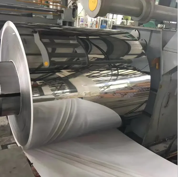 Stainless Steel Strip Detail 1