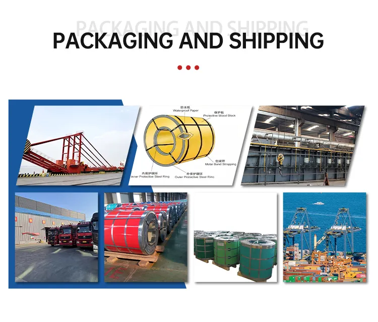 Shipping Logistics
