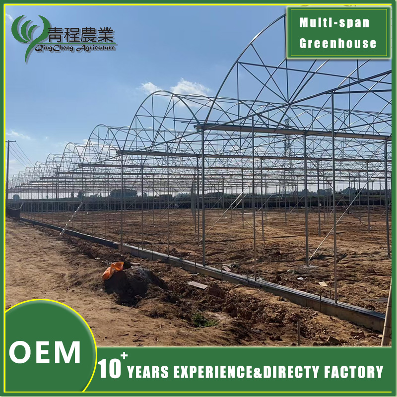 Premium Galvanized Steel Rectangular Profiles for Greenhouse Structures