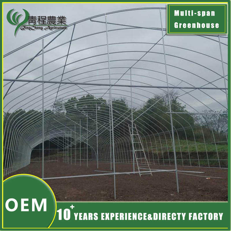 Premium Galvanized Steel Rectangular Profiles for Greenhouse Structures