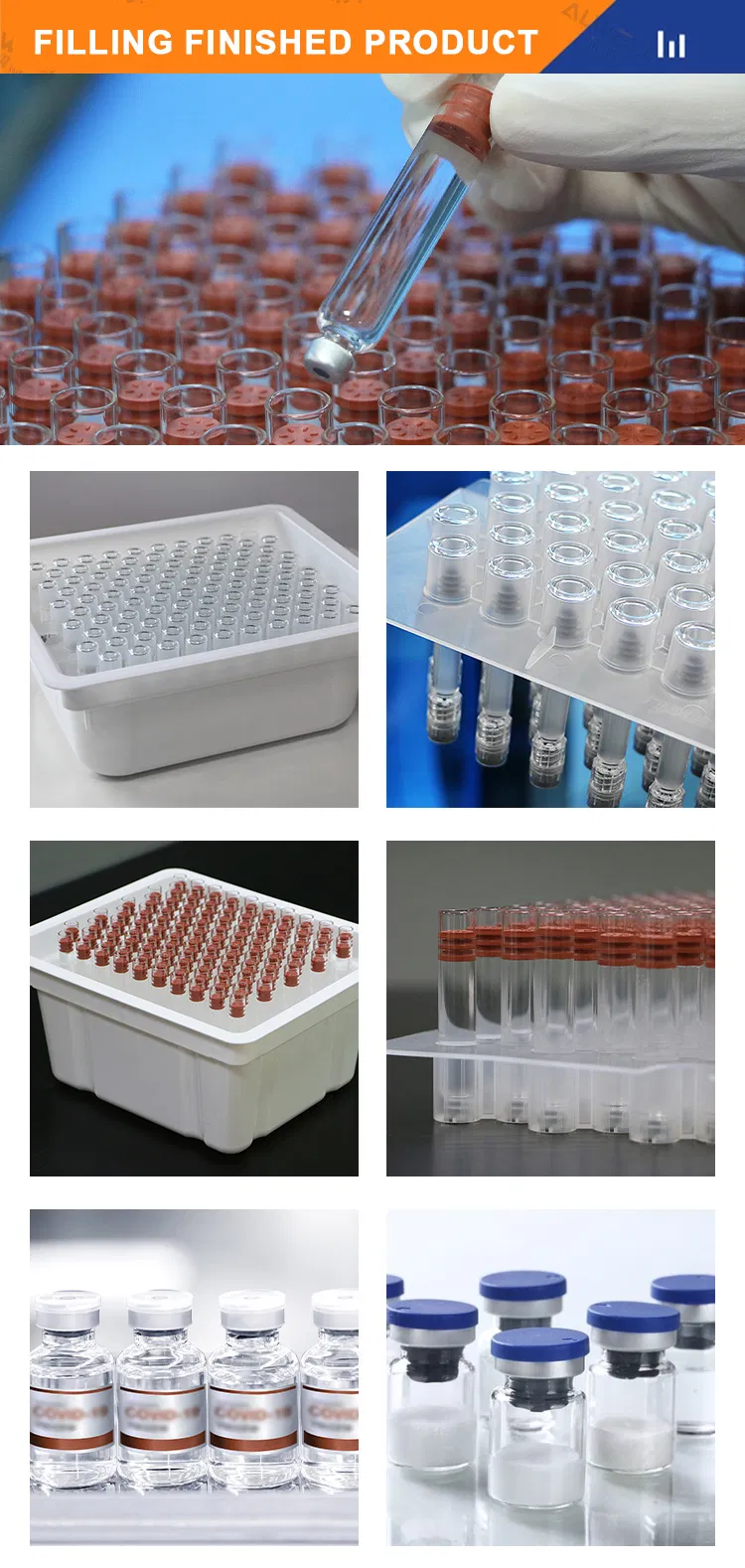 Syringe Filling Machine 2