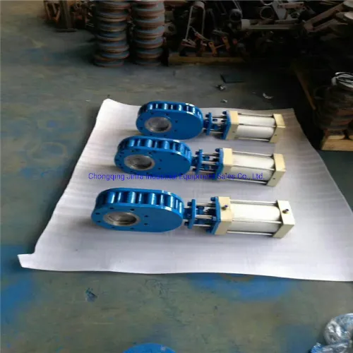 Twin Disc Gate Valve Structure