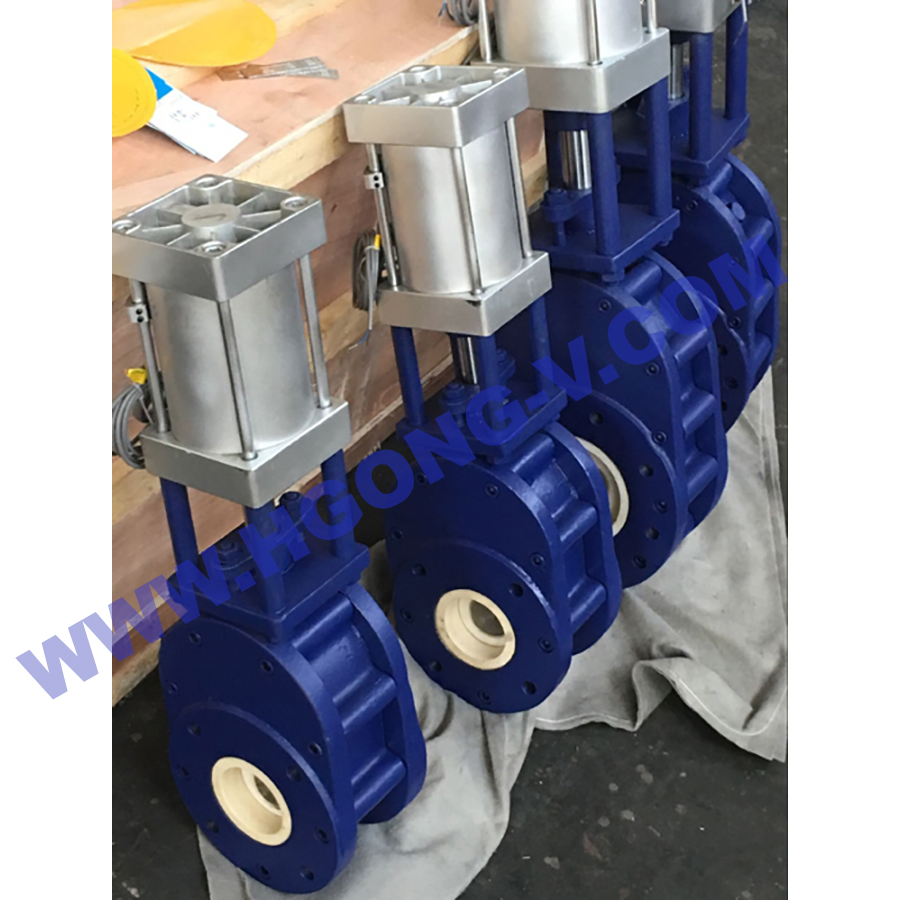 DIN Slurry Double Disc Cast Steel Lined Chemical Resistant 2500 Lb Ss 304 Pneumatic Ceramic Gate Valve