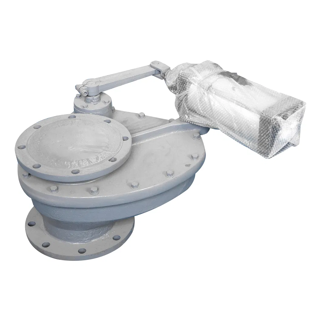 Swing Valve 1