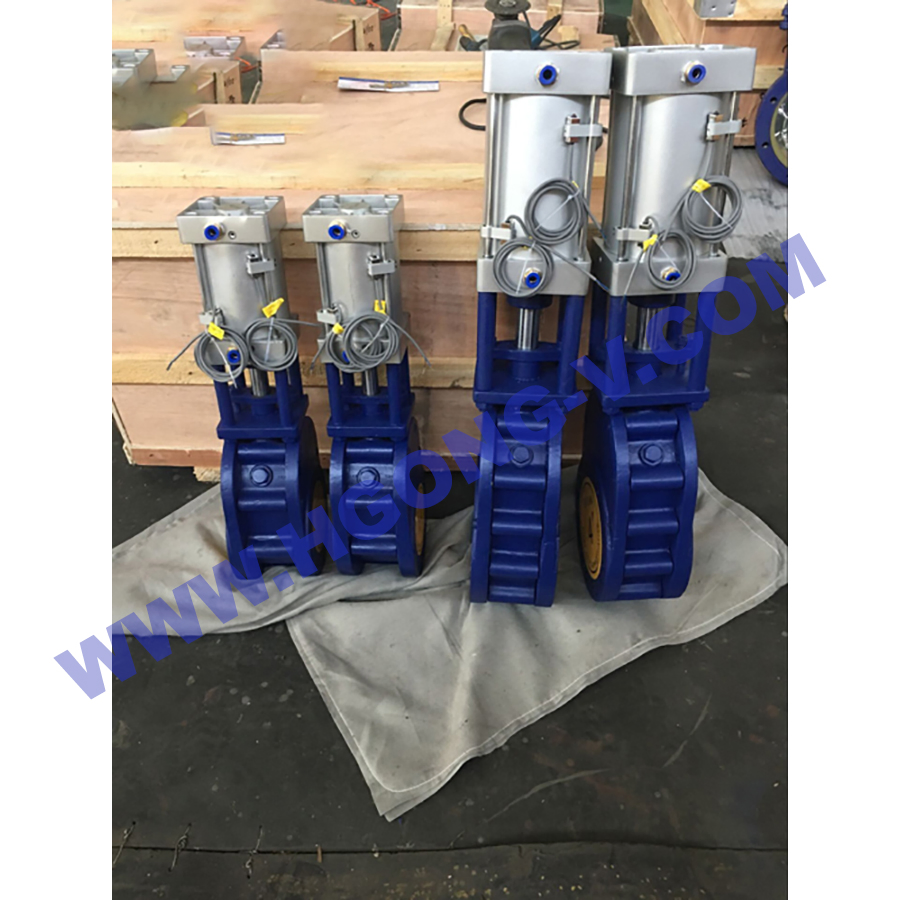DIN Slurry Double Disc Cast Steel Lined Chemical Resistant 2500 Lb Ss 304 Pneumatic Ceramic Gate Valve