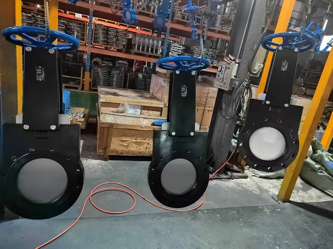 Knife Gate Valve 2