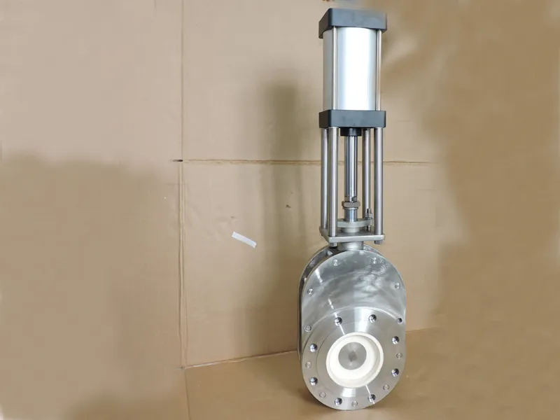 Ceramic Lined Double Disc Gate Valve 1