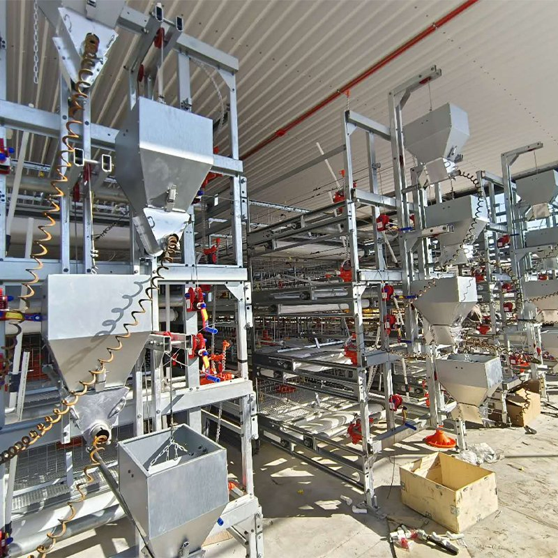 Poultry Farm Equipment Energy Efficient Chicken Coop Broiler Cage Raising System