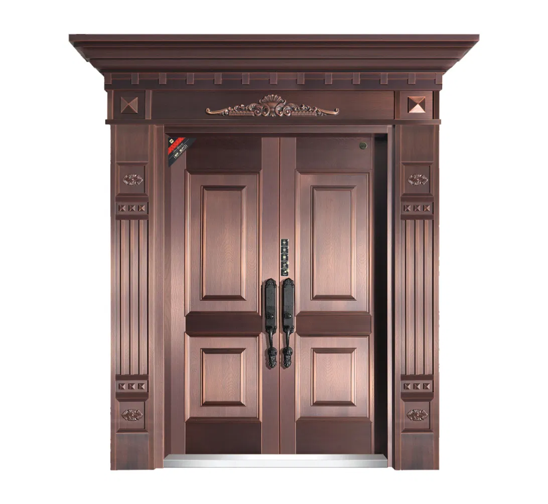 Contemporary Zinc Alloy Double Door for Home Entrance Modern Architectural Style